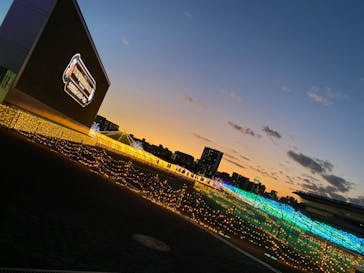 東京メガイルミに投稿された画像（2023/12/2）