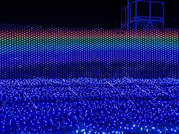 東京メガイルミに投稿された画像（2023/12/2）