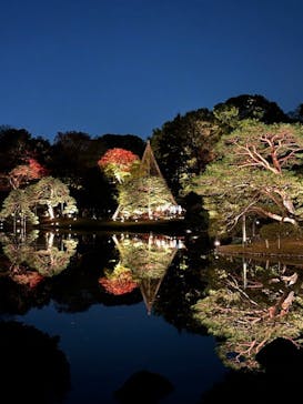 六義園に投稿された画像（2023/12/2）