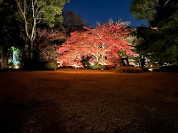 六義園に投稿された画像（2023/12/2）