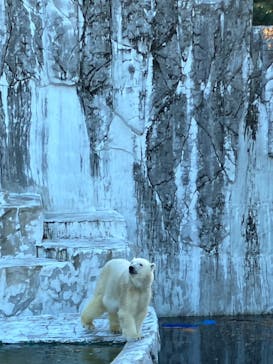 名古屋市東山動植物園に投稿された画像（2023/12/2）