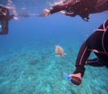 石垣島 ADVENTURE PiPi（イシガキジマアドベンチャーピピ）に投稿された画像（2023/12/2）