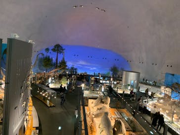 福井県立恐竜博物館に投稿された画像（2023/12/2）