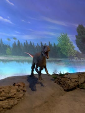 福井県立恐竜博物館に投稿された画像（2023/12/2）