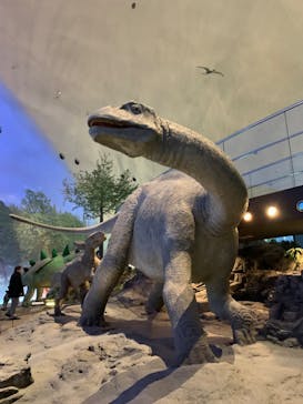 福井県立恐竜博物館に投稿された画像（2023/12/2）