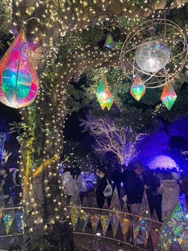 江の島シーキャンドルに投稿された画像（2023/12/2）