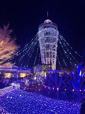江の島シーキャンドルに投稿された画像（2023/12/2）