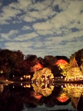 六義園に投稿された画像（2023/12/2）