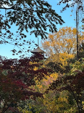 三溪園に投稿された画像（2023/12/2）