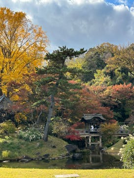 三溪園に投稿された画像（2023/12/2）