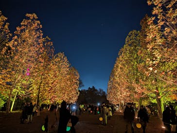 NAKED 紅葉の新宿御苑2023に投稿された画像（2023/12/2）