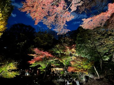 六義園に投稿された画像（2023/12/2）