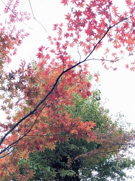 三溪園に投稿された画像（2023/12/2）