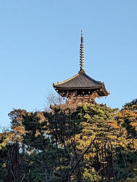 三溪園に投稿された画像（2023/12/2）