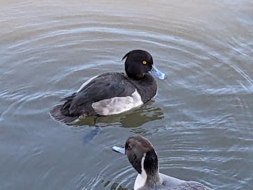 三溪園に投稿された画像（2023/12/2）