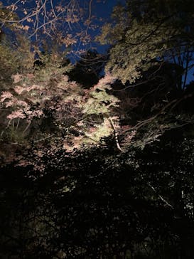 六義園に投稿された画像（2023/12/2）