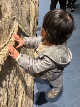 名古屋港水族館に投稿された画像（2023/12/2）