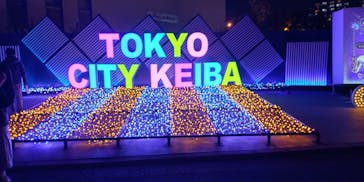 東京メガイルミに投稿された画像（2023/12/2）