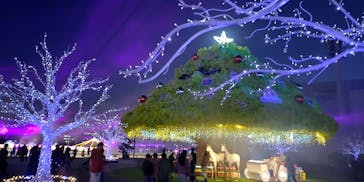 東京メガイルミに投稿された画像（2023/12/2）