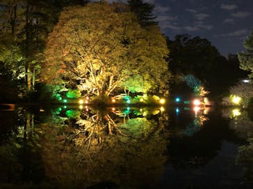 NAKED 紅葉の新宿御苑2023に投稿された画像（2023/12/2）