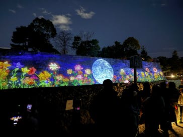 NAKED meets 二条城 2025 観月に投稿された画像（2023/12/2）