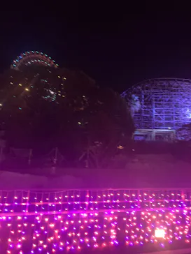 ひらかたパークに投稿された画像（2023/12/2）