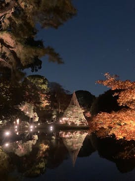 六義園に投稿された画像（2023/12/2）