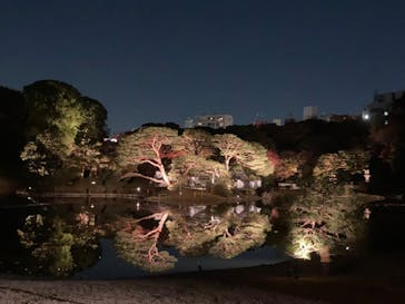 六義園に投稿された画像（2023/12/2）