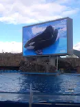 名古屋港水族館に投稿された画像（2023/12/2）
