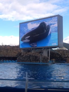 名古屋港水族館に投稿された画像（2023/12/2）