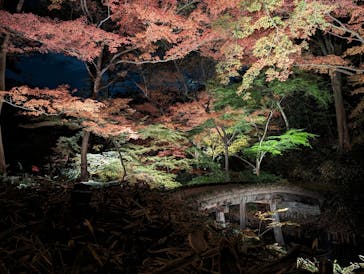 六義園に投稿された画像（2023/12/2）