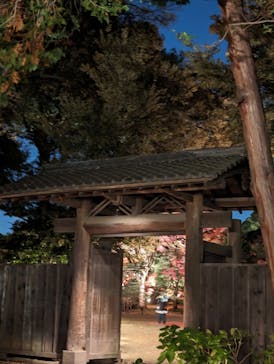 六義園に投稿された画像（2023/12/2）