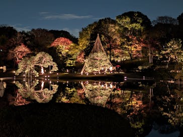 六義園に投稿された画像（2023/12/2）