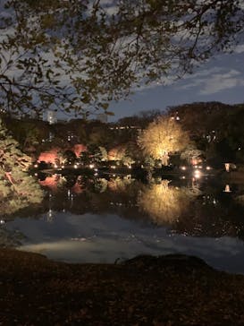 六義園に投稿された画像（2023/12/2）