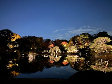 六義園に投稿された画像（2023/12/2）