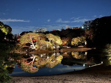 六義園に投稿された画像（2023/12/2）