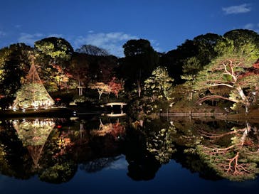 六義園に投稿された画像（2023/12/2）