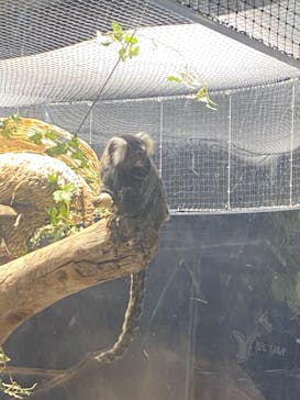 カワスイ 川崎⽔族館に投稿された画像（2023/12/2）