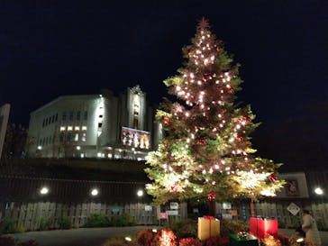 西武園ゆうえんちに投稿された画像（2023/12/2）