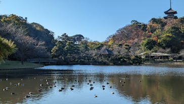 三溪園に投稿された画像（2023/12/2）