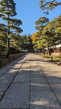 三溪園に投稿された画像（2023/12/2）