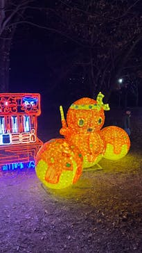 大阪城イルミナージュに投稿された画像（2023/12/2）