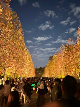 NAKED 紅葉の新宿御苑2023に投稿された画像（2023/12/2）