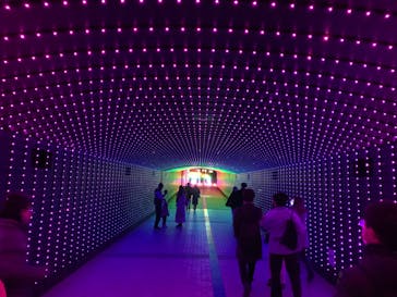 東京メガイルミに投稿された画像（2023/12/2）