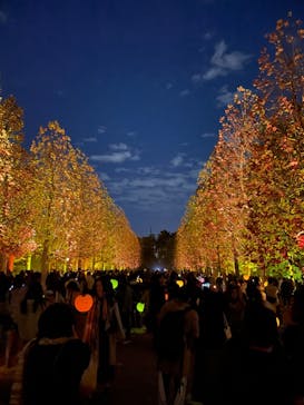 NAKED 紅葉の新宿御苑2023に投稿された画像（2023/12/2）