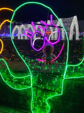 神戸イルミナージュに投稿された画像（2023/12/2）