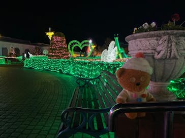 神戸イルミナージュに投稿された画像（2023/12/2）