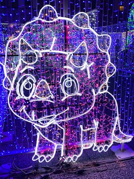 神戸イルミナージュに投稿された画像（2023/12/2）