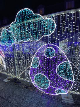 神戸イルミナージュに投稿された画像（2023/12/2）