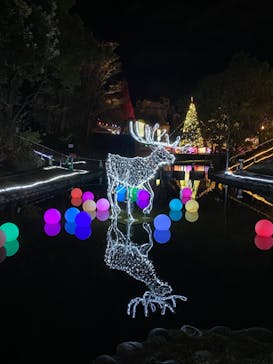 安城産業文化公園デンパークに投稿された画像（2023/12/2）